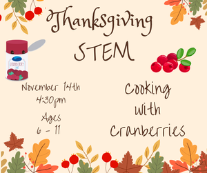 https://m.engagedpatrons.org/clientimages/5938/Thanksgiving%20STEM.png